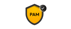 مدیریت دسترسی‌های ویژه(PAM)